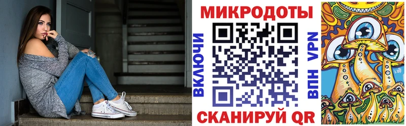 Псилоцибиновые грибы Psilocybe  Талица 